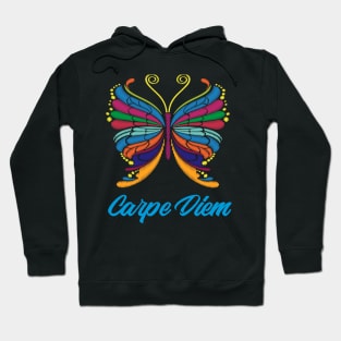 Butterfly embroidery effect Hoodie